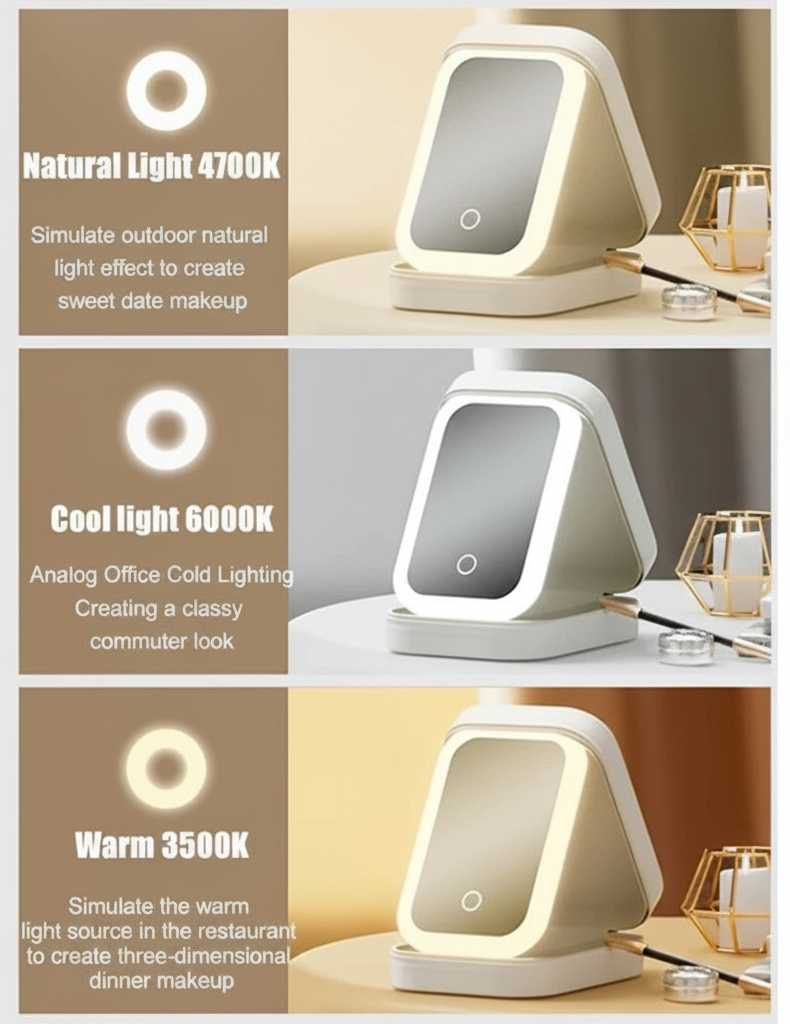 LED Makeup Organizer Case